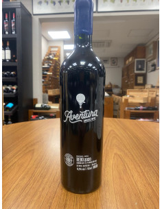 AVENTURA GARAGE REBO